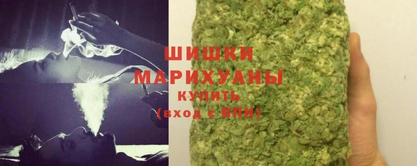 индика Кодинск