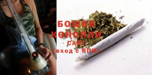 индика Кодинск