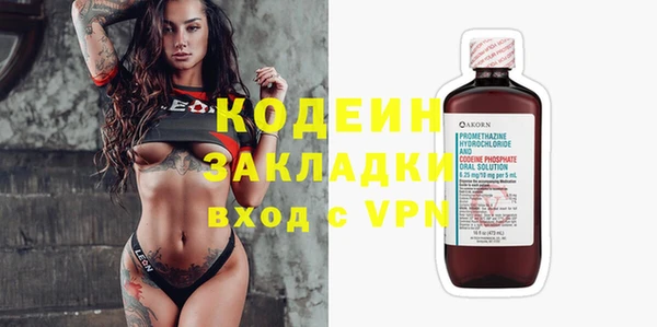 молекула духа Козельск