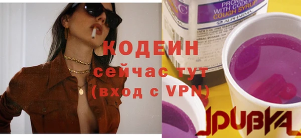 молекула духа Козельск