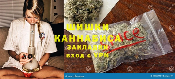 индика Кодинск