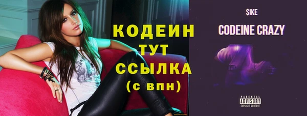 индика Кодинск