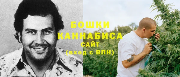 молекула духа Козельск