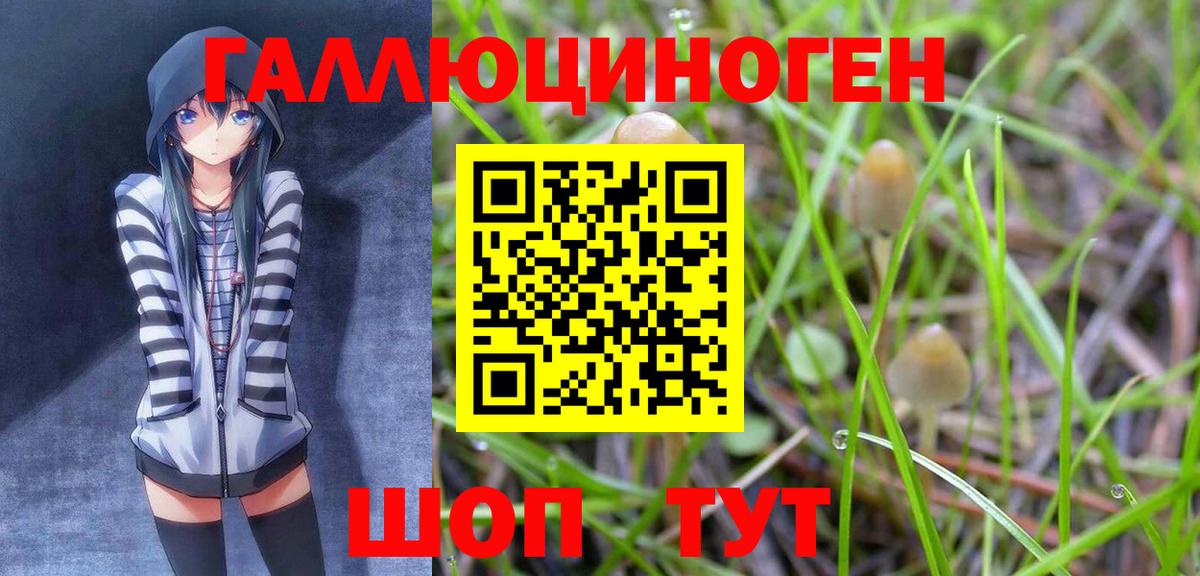 Кузнецк  Галлюциногенные грибы Psilocybine cubensis  Галлюциногенные грибы мухоморы  Вход с VPN 